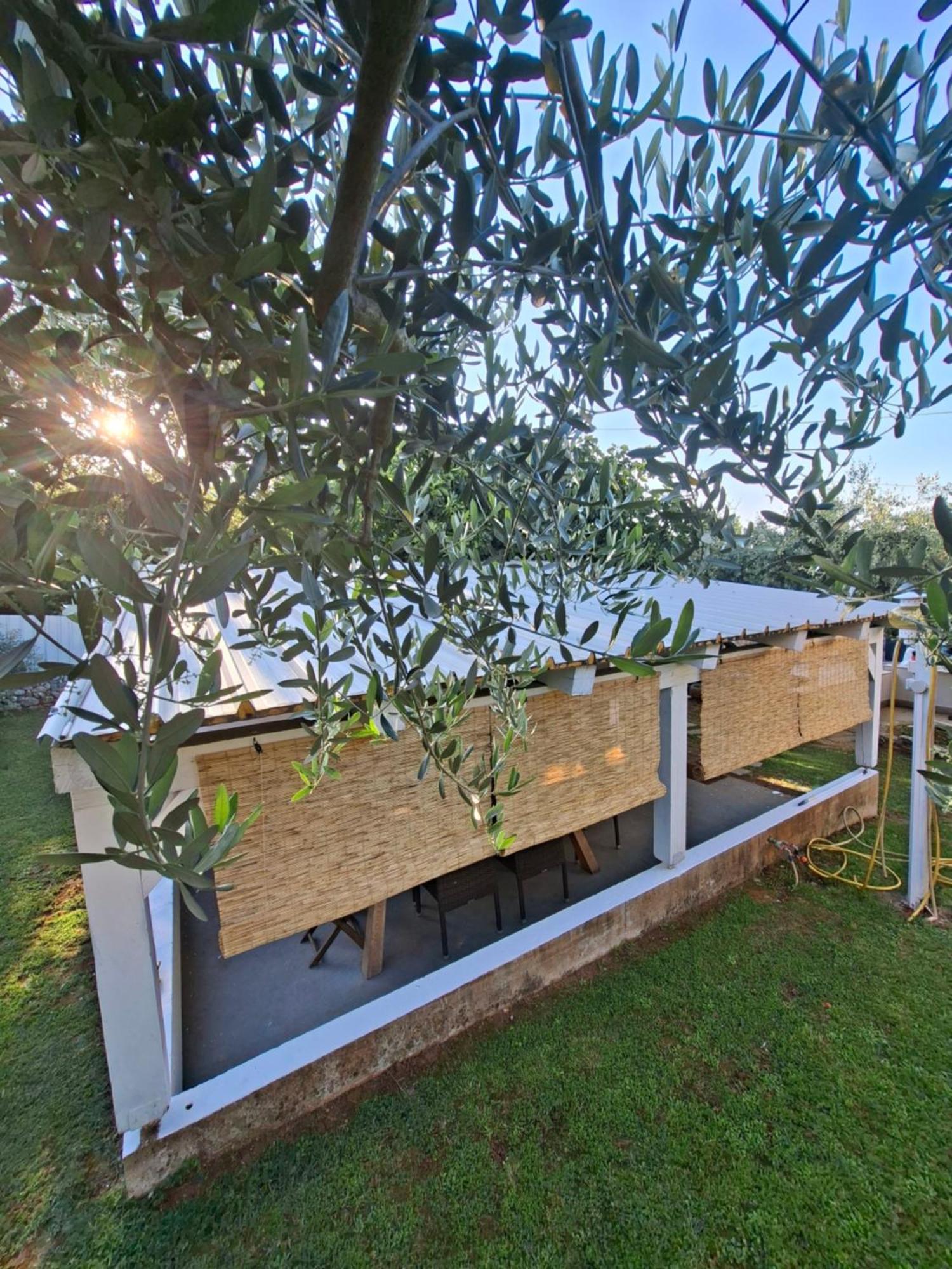 Martina Guest House 波雷奇 外观 照片